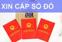 Cấp sổ đỏ khi bị mất